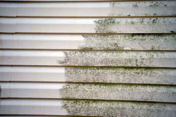 Best Weatherproofing and Sealing  in Flomaton, AL