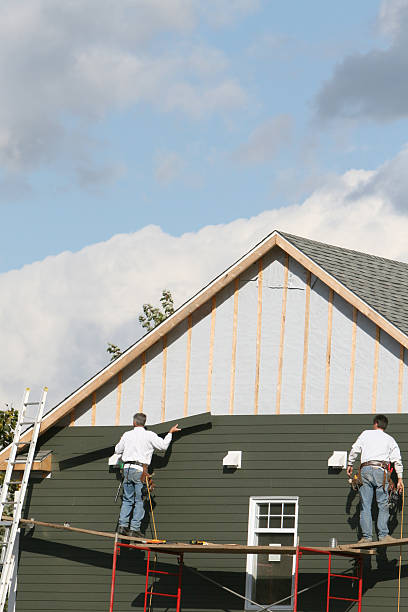 Best Steel Siding Installation  in Flomaton, AL