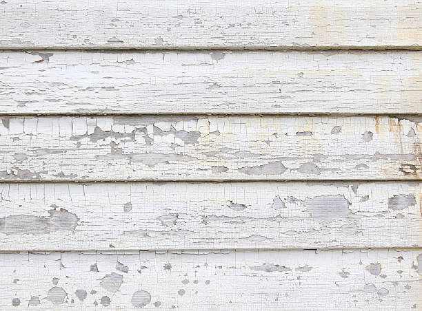 Best Siding for New Construction  in Flomaton, AL